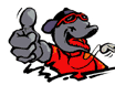 logo_regles Règles du Sandball Tour